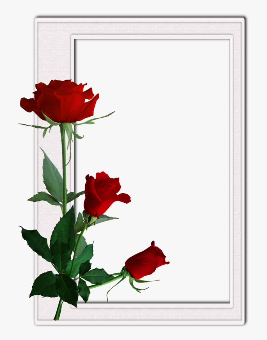 Roses Borders And Frames, HD Png Download