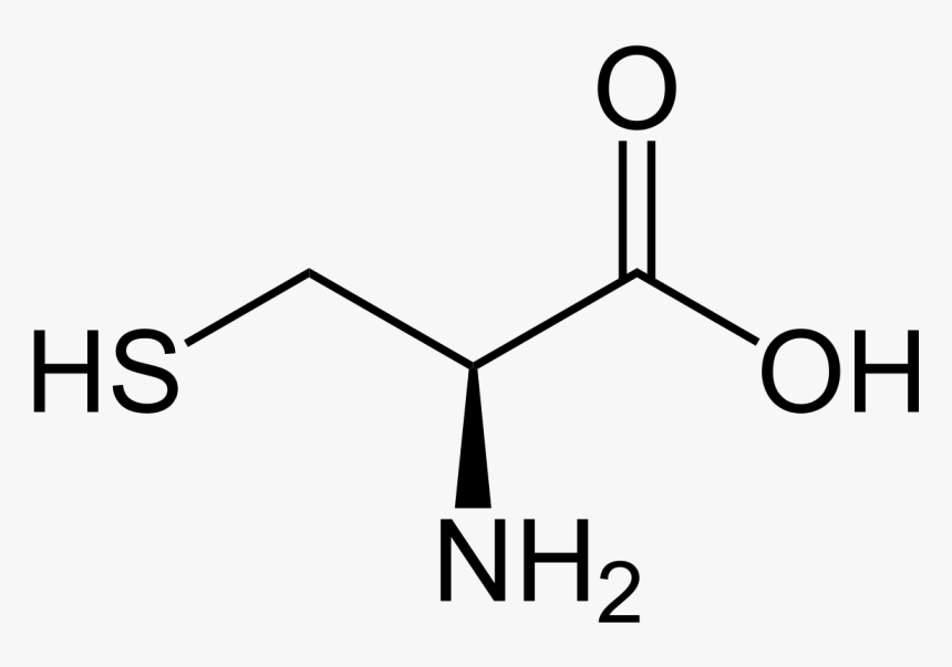 Cysteine Structure, HD Png Download