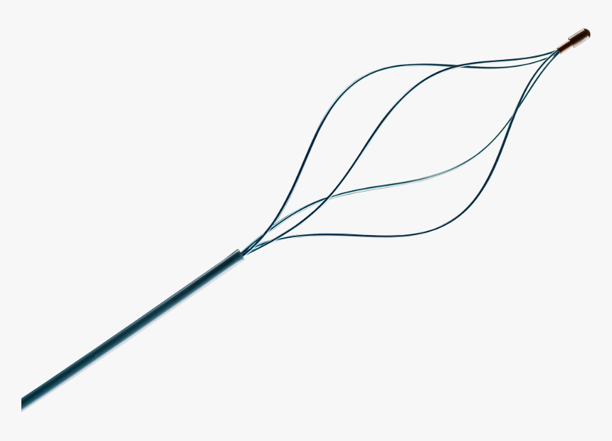 Andrabasket, HD Png Download