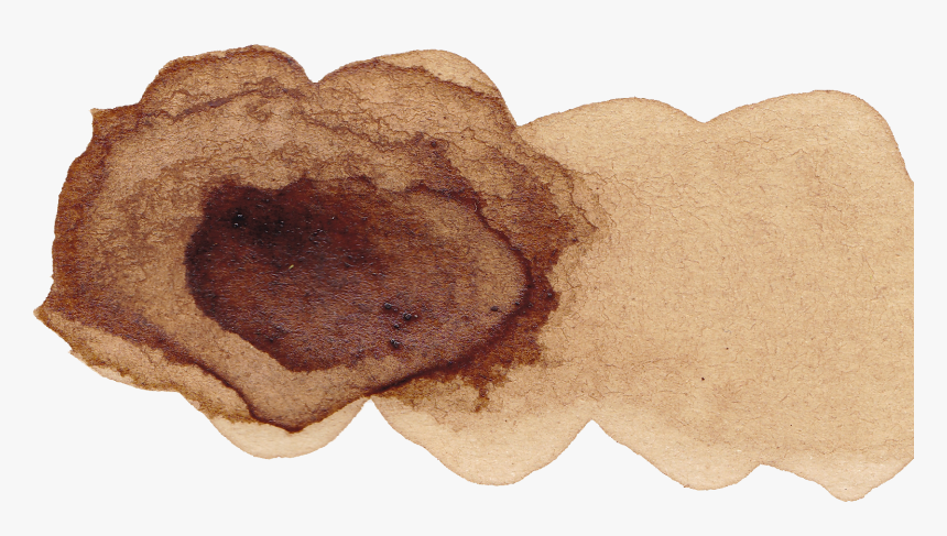 Coffee Paint Watercolor Png, Transparent Png