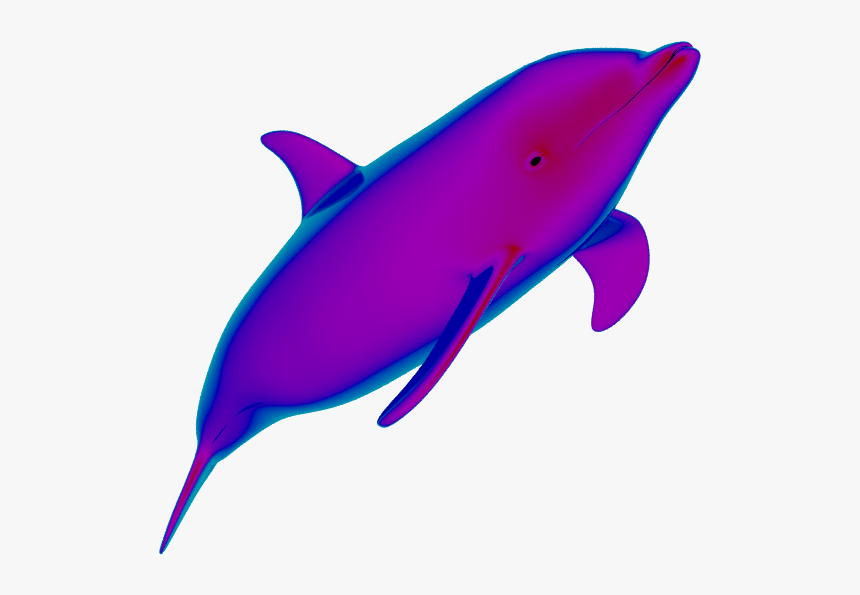 Neon Dolphins Are Cute ✧ - Transparent Background Dolphins Animated Gif, HD Png Download