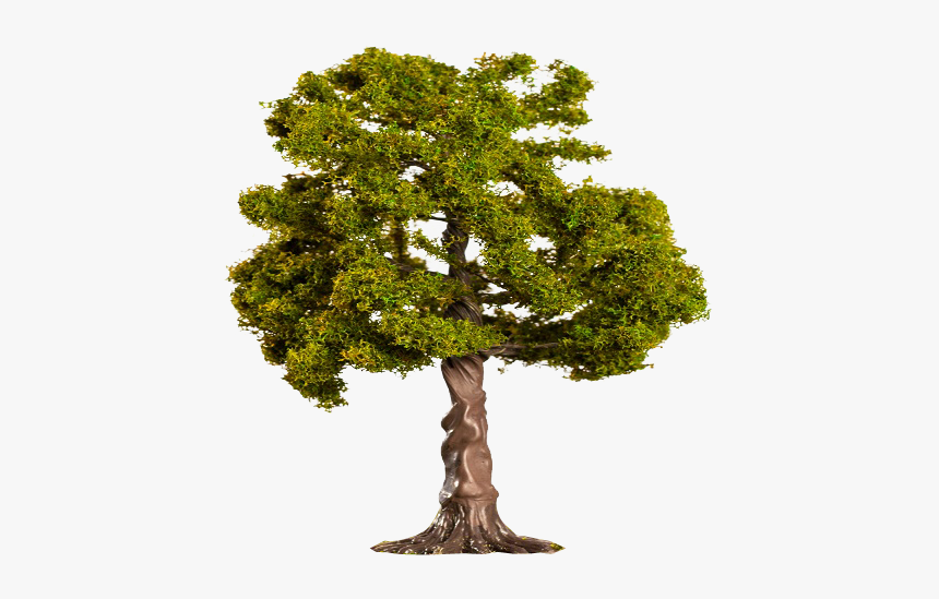 Bonsai, HD Png Download