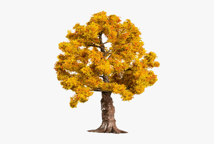 Maple, HD Png Download
