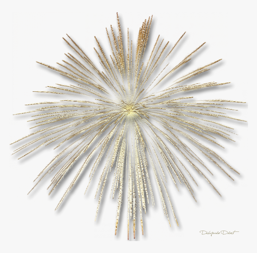 Tu Y Yo - Fireworks Gif Without Background, HD Png Download