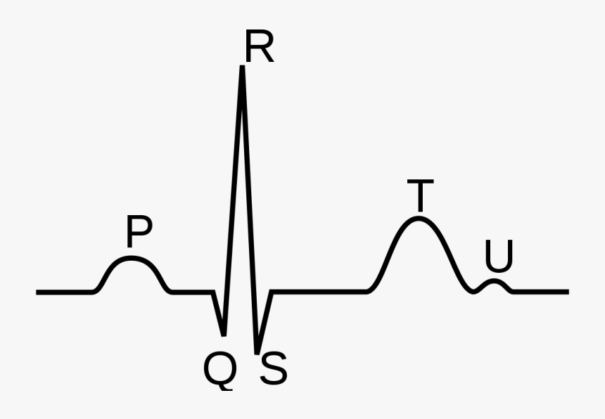 Heartbeat Monitor Png, Transparent Png