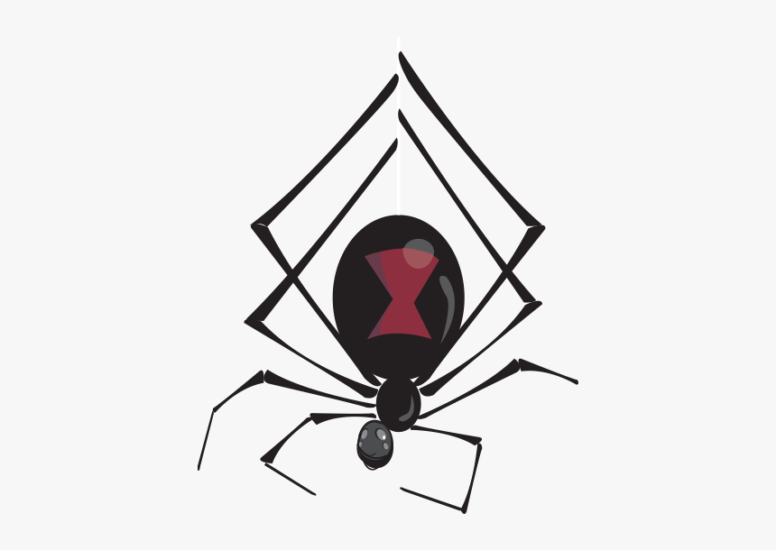 Ekg Clipart Border - Tangle-web Spider, HD Png Download