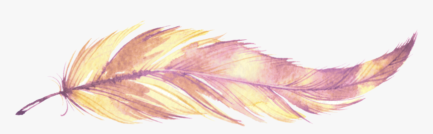 Watercolor Paint, HD Png Download