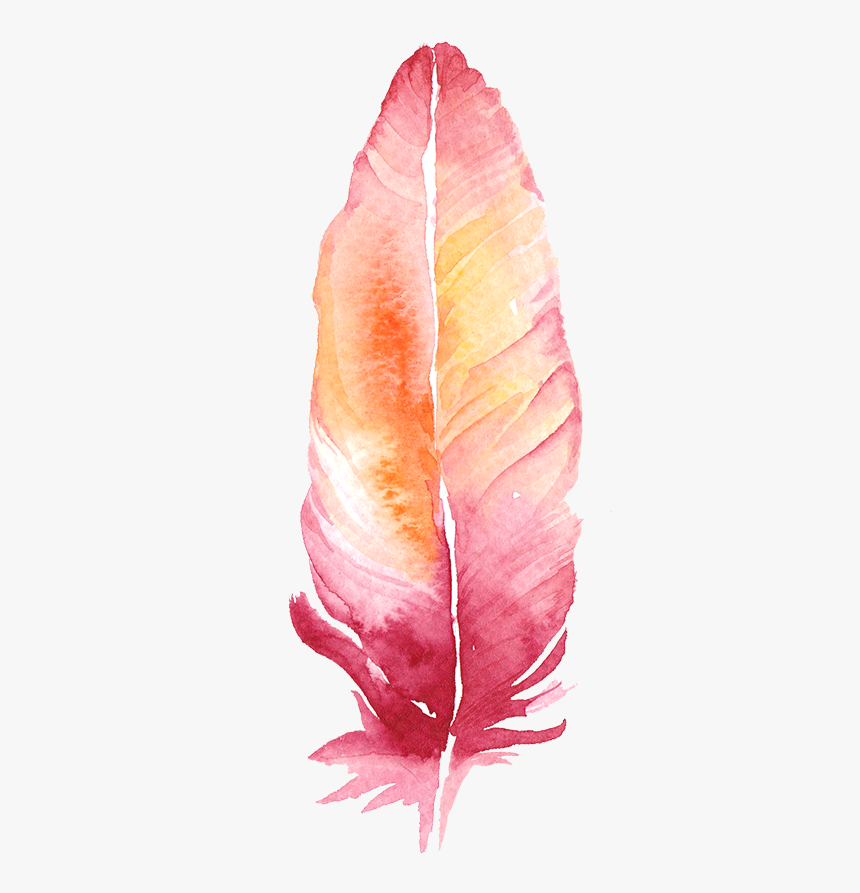 #freetoedit #ftesticker #feather #boho #watercolor - Colorful Feather Transparent Background, HD Png Download
