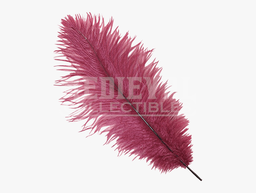 Ostrich Feathers Png - Burgundy Feathers, Transparent Png