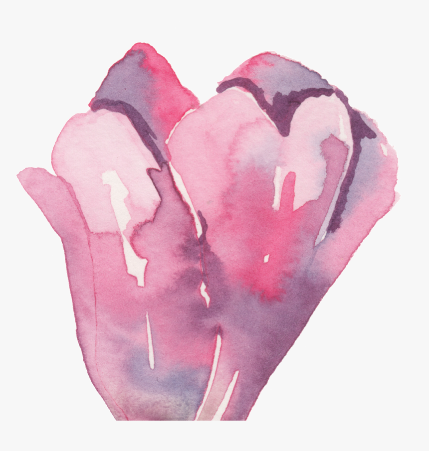 Feathers Png, Transparent Png