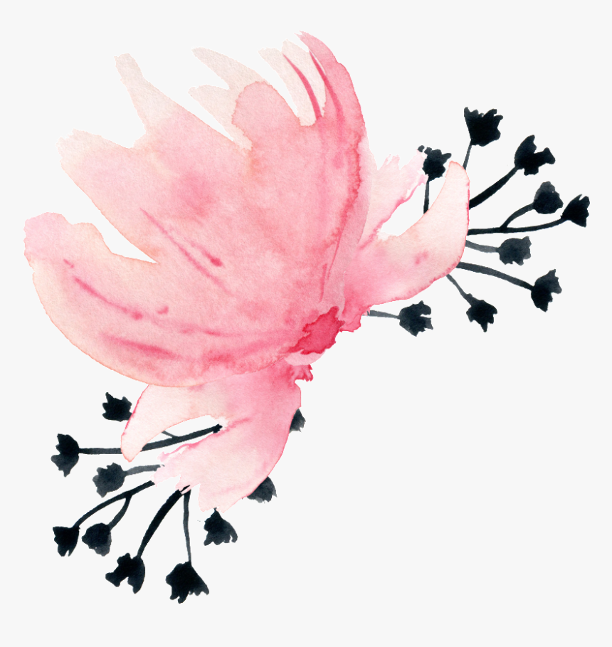 Feathers Png, Transparent Png