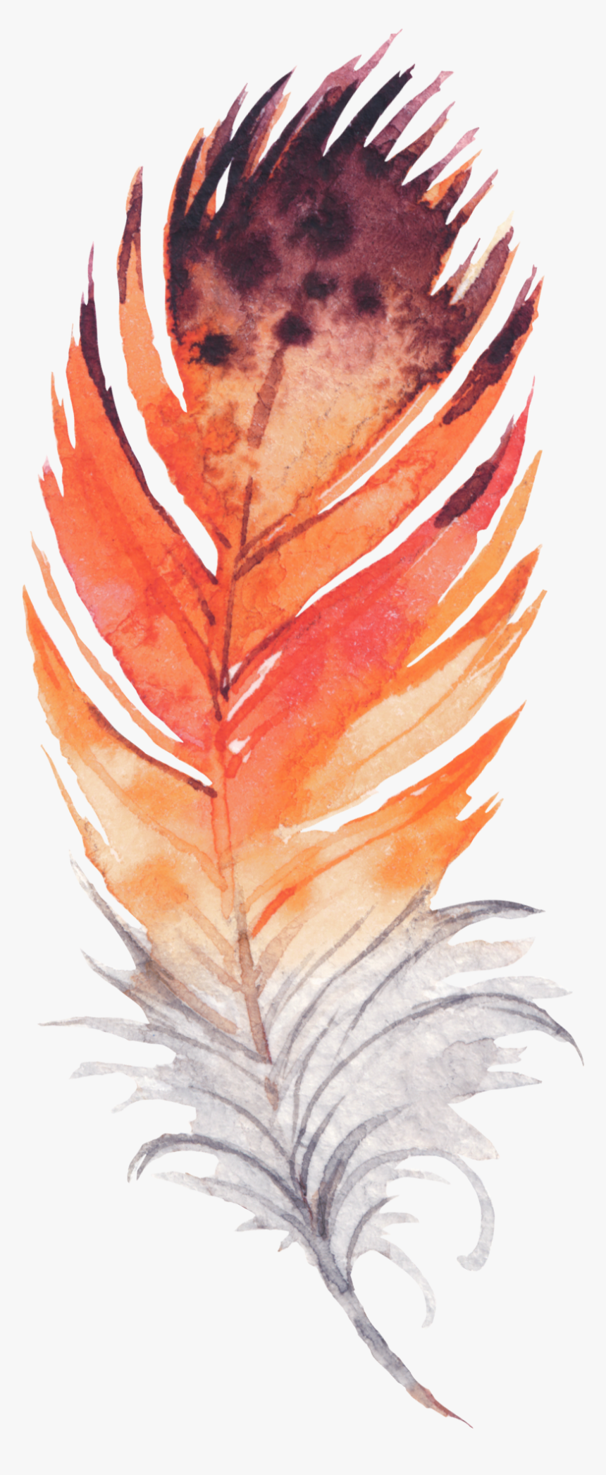 Feathers Png, Transparent Png