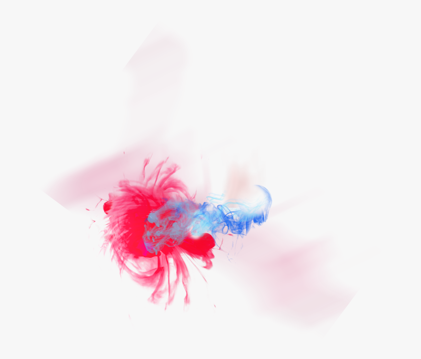 Invertebrate, HD Png Download