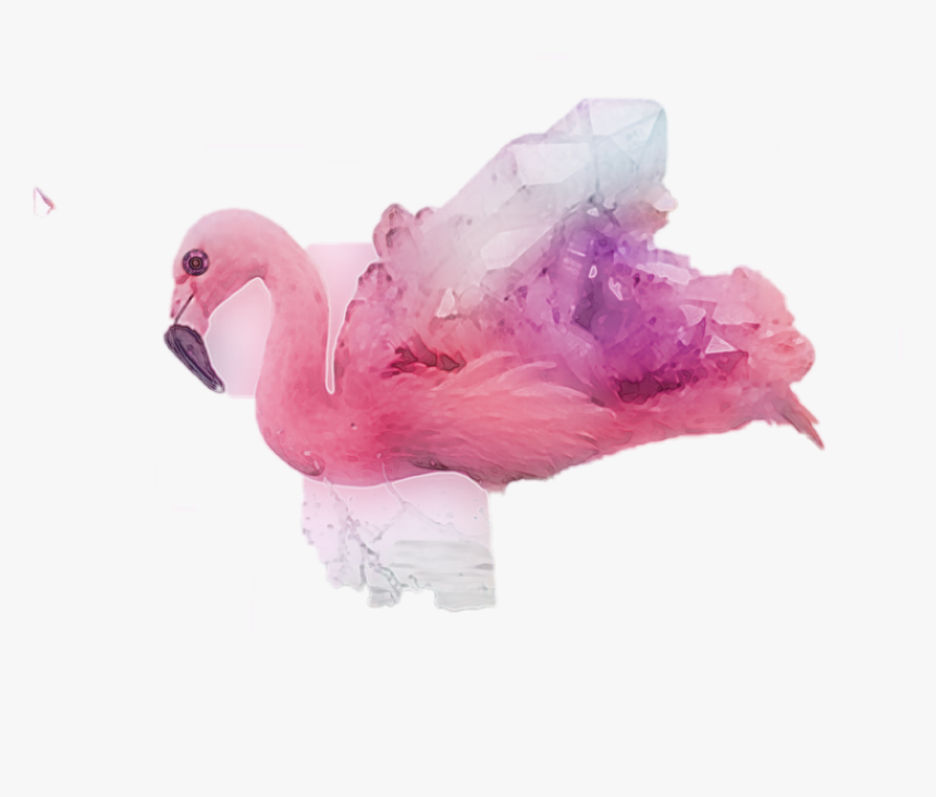 #flamingos - Abstract - Duck, HD Png Download