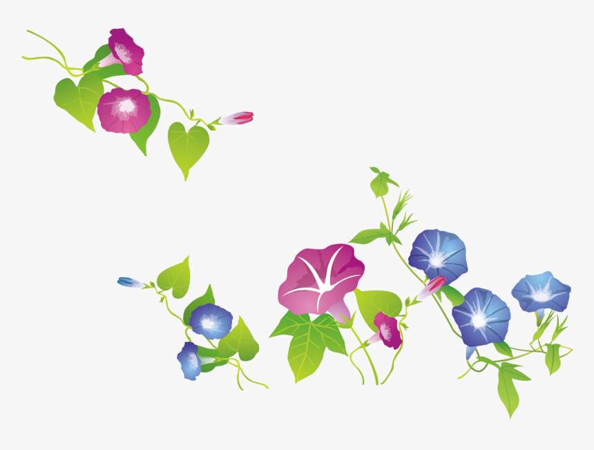 Clip Library Download Ipomoea Nil Exquisite Trumpet - 牵 牛 花 矢量 图, HD Png Download