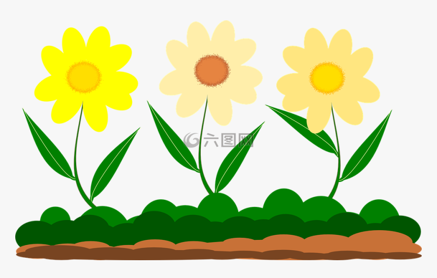 黄色花,矢量图像,花园 - Flores Jardim Desenho Png, Transparent Png