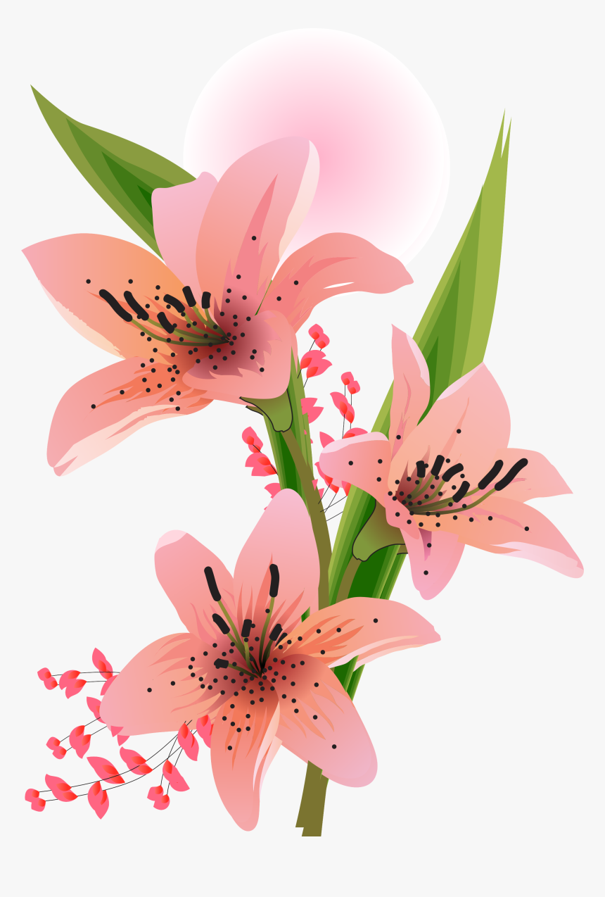 Цветы Лилия Пнг, HD Png Download