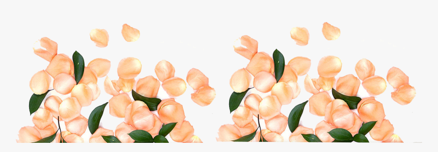 Sweet Peas, HD Png Download