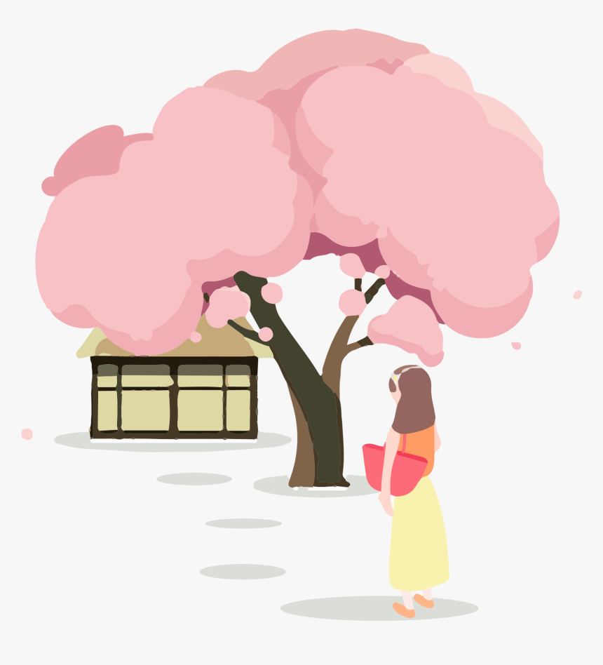 Cherry Blossom, HD Png Download