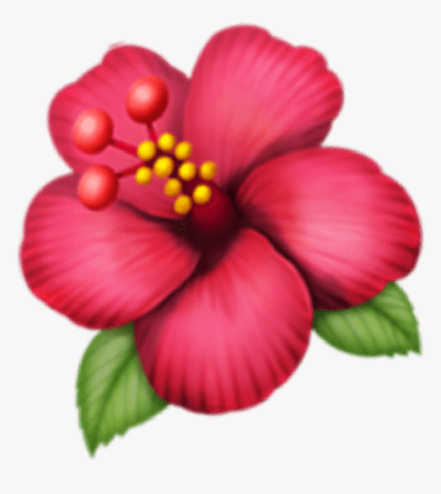 Hawaiian Hibiscus, HD Png Download