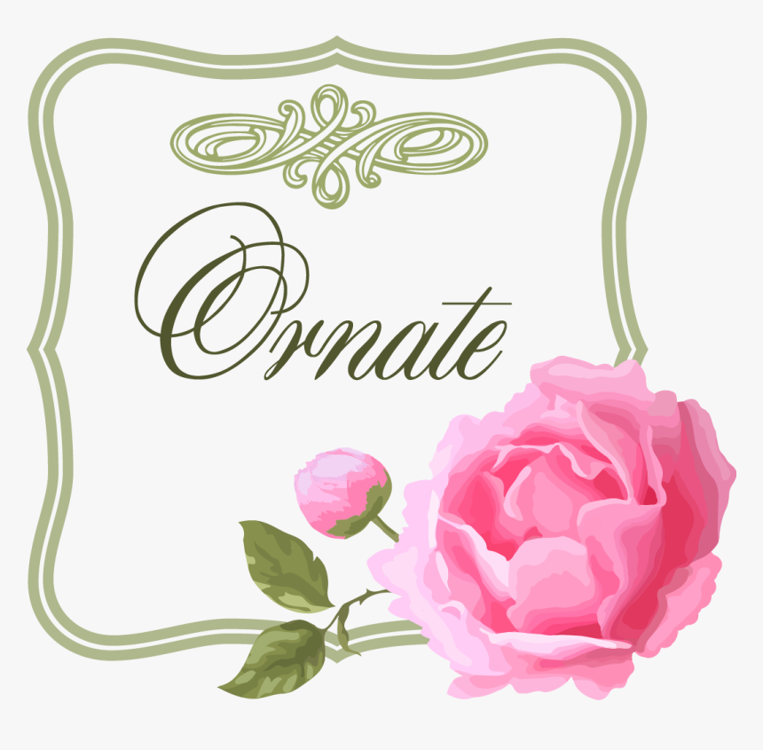 蔷薇花花边框图片 - Pink Cabbage Rose Border, HD Png Download