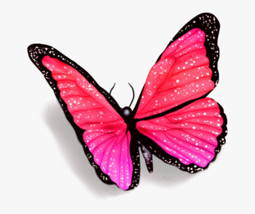 #butterfly #butterflies #petsandanimals #fly #overlay - Butterfly With Shadow Png, Transparent Png