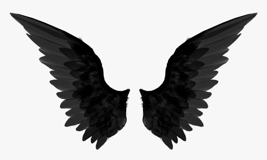 Wings Png Album On - Transparent Background Wings Png, Png Download