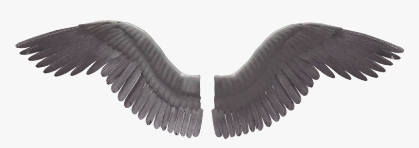Angel Wings Stock Png - Angel X Men Drawing, Transparent Png