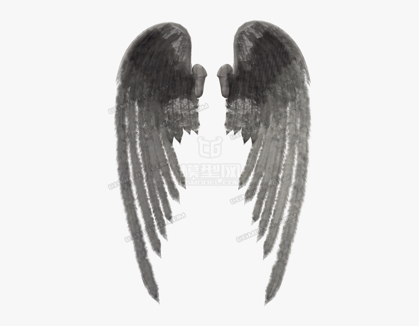 天使之翼天马翅膀天使之翼天马翅膀火鸟凤凰翅膀 Lace Wig Hd Png Download Transparent Png Image Pngitem