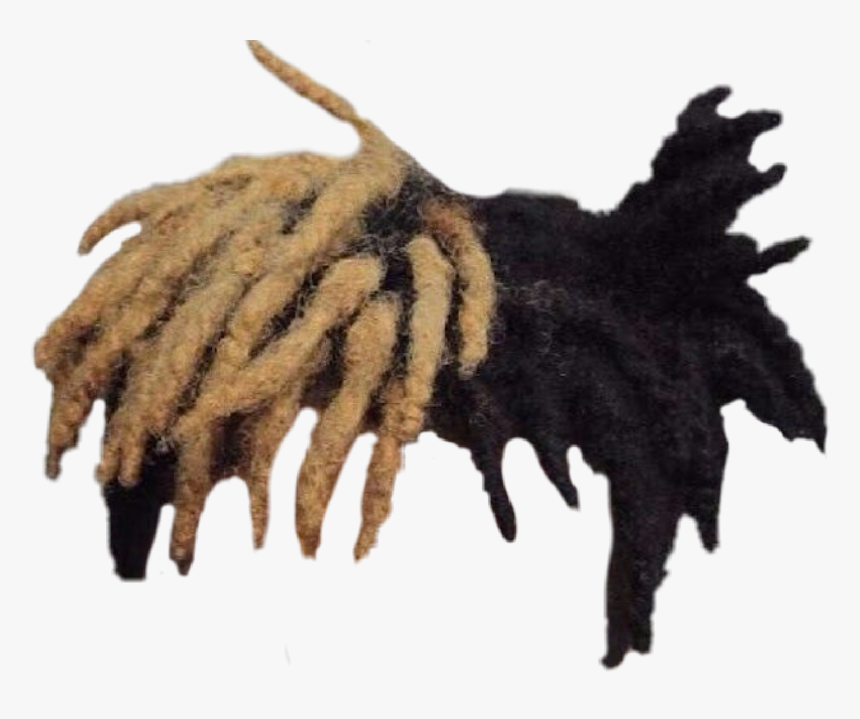 Xxxtentacion Hair Transparent Background, HD Png Download