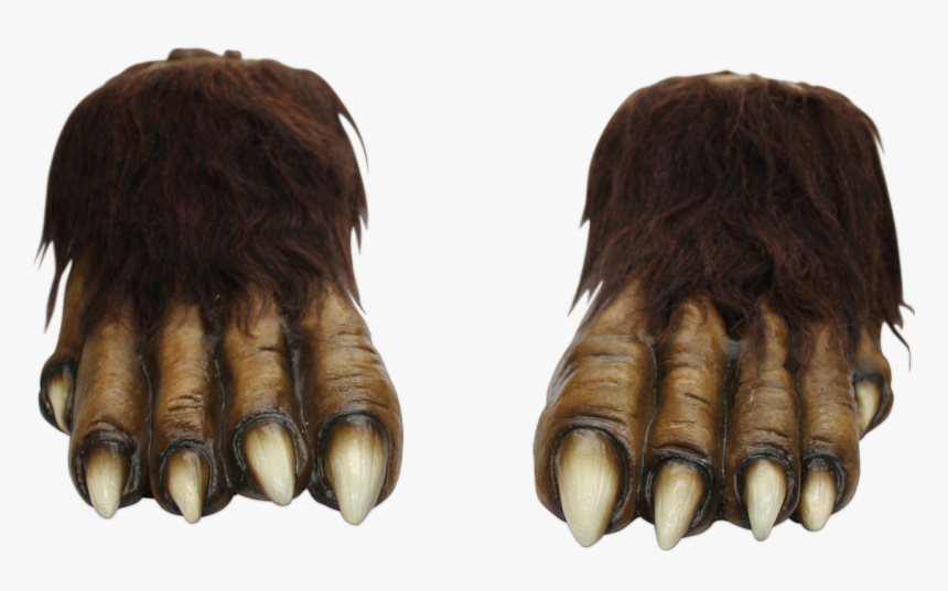 Piedi Lattice Lupo Mannaro, HD Png Download