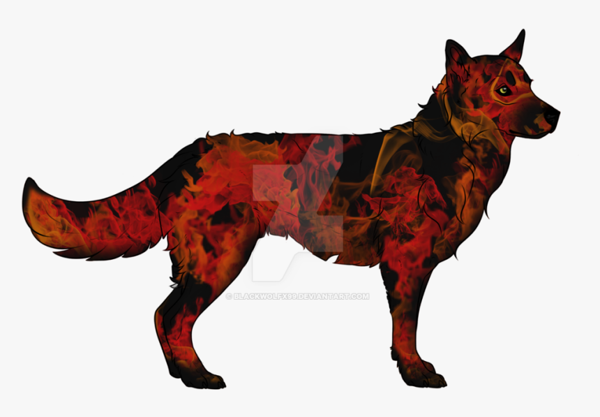Fire And Smoke Wolf Adoptable, Please Offer - Hunting Dog, HD Png Download