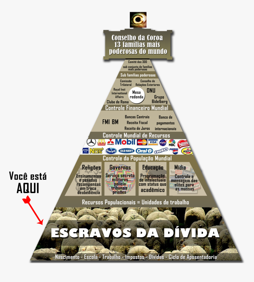 Esquema De Compartimentalização Das Funções Dentro - Portable Network Graphics, HD Png Download