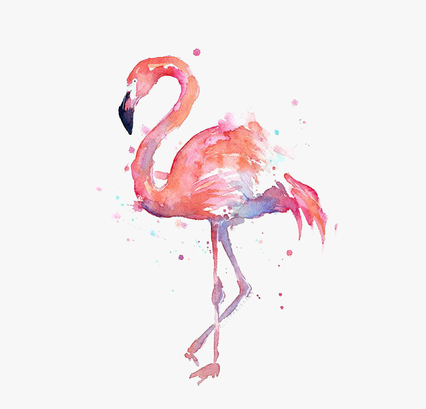 Flamingo Transparent High Resolution - Watercolor Flamingo, HD Png Download