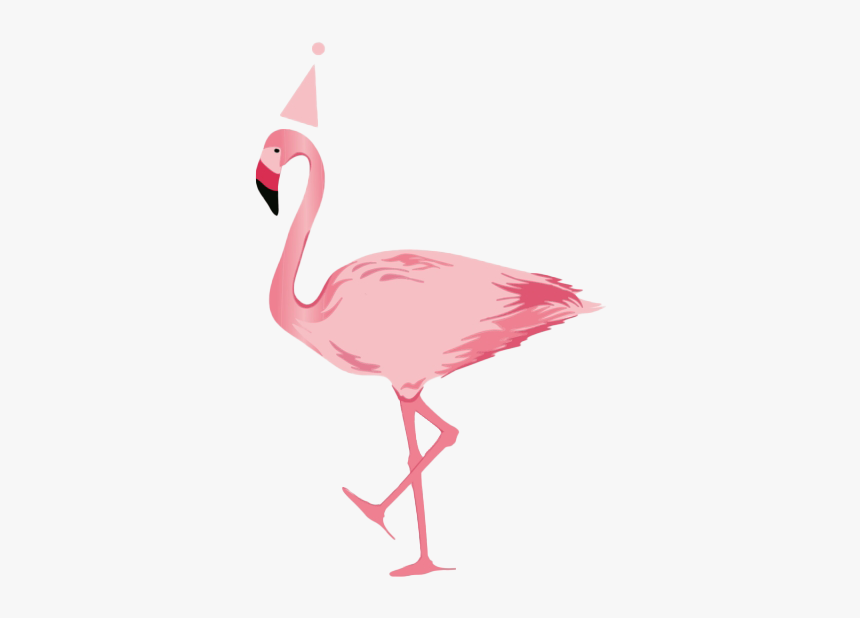 Flamingo Png Clipart Background - ฟ ลา มิ ง โก้ การ์ตูน, Transparent Png