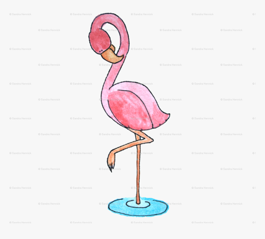 Greater Flamingo, HD Png Download