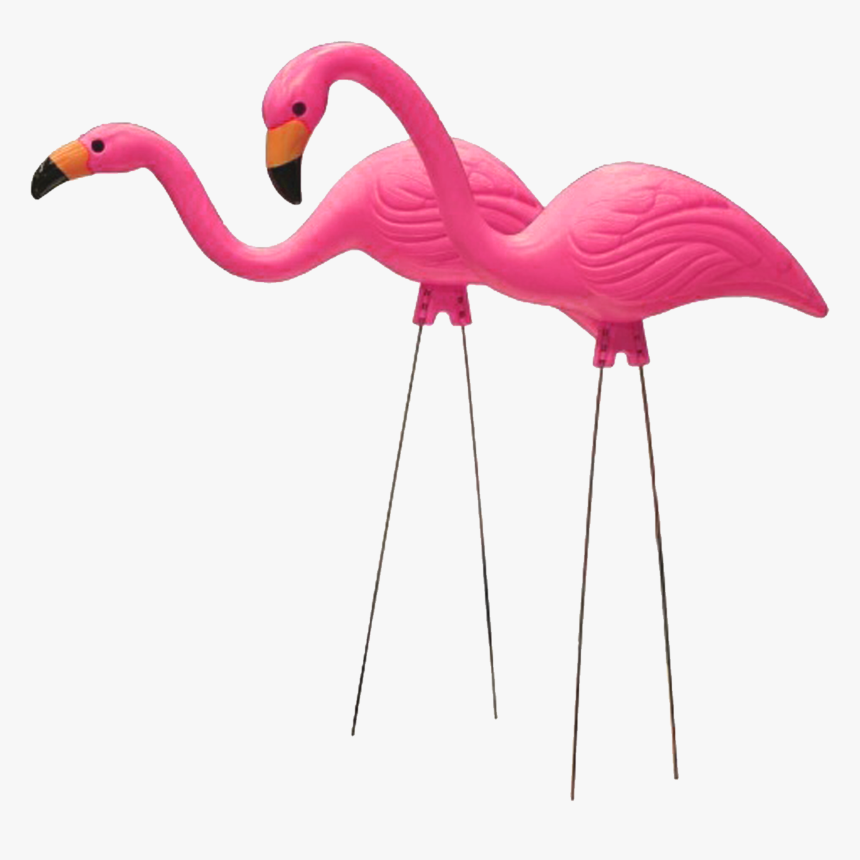 Flamingo, Moved Permanently - Transparent Background Plastic Flamingo Png, Png Download