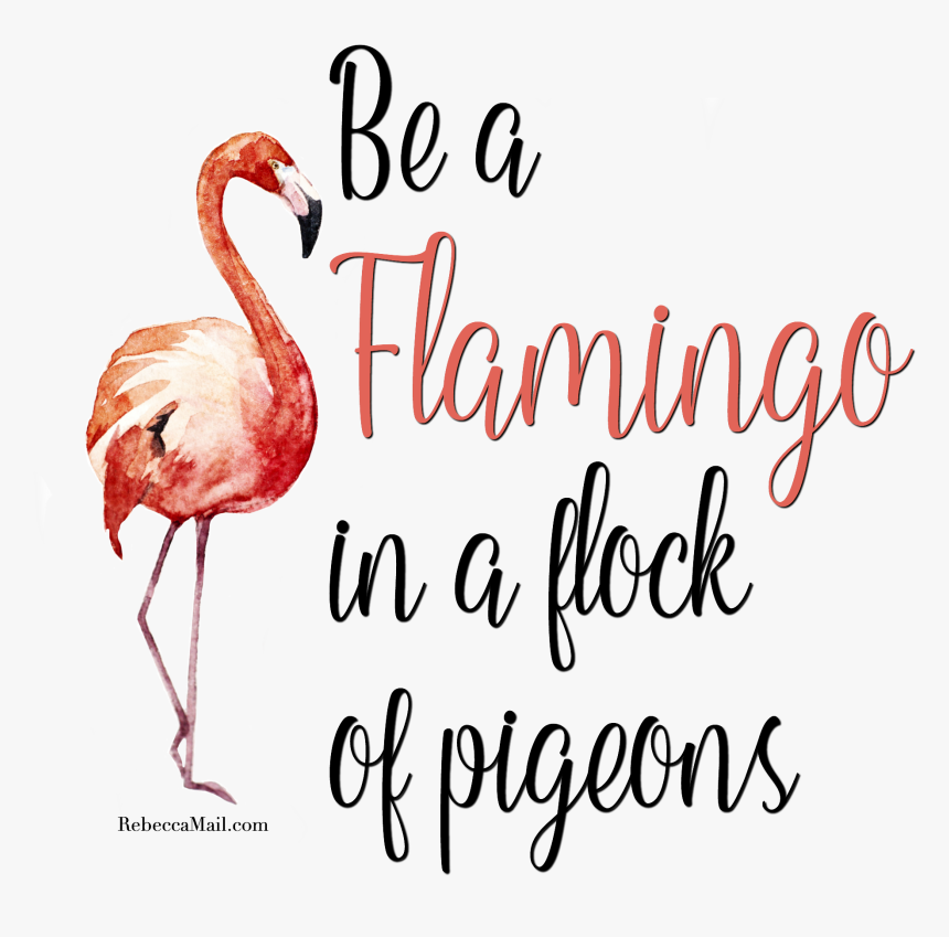 Flamingo Clipart Quotes - Flamingo In A Flock Of Pigeons Sign, HD Png Download