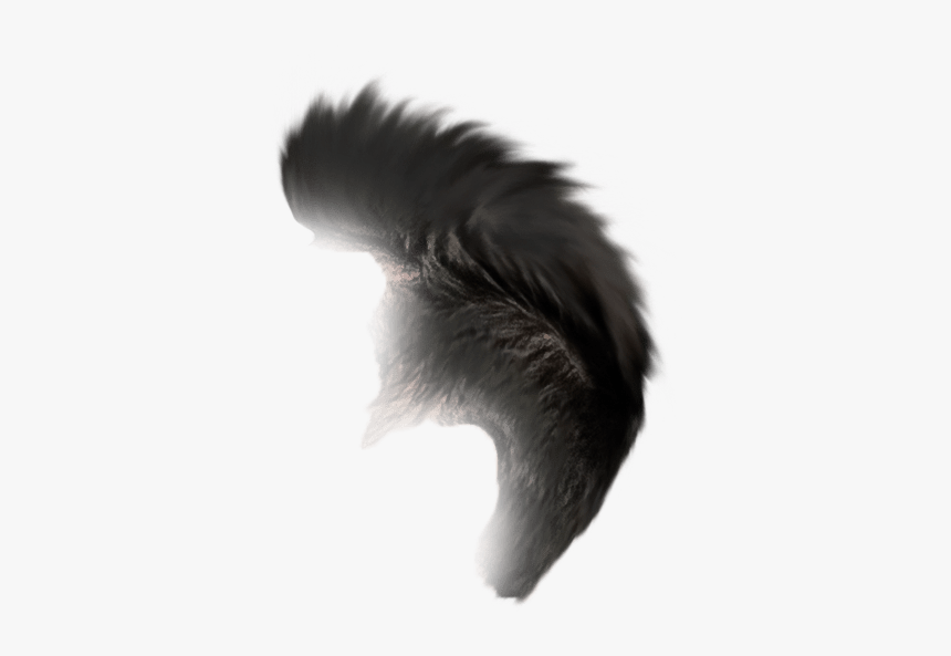 Stress Editing Background Download - Hooded Skunk, HD Png Download