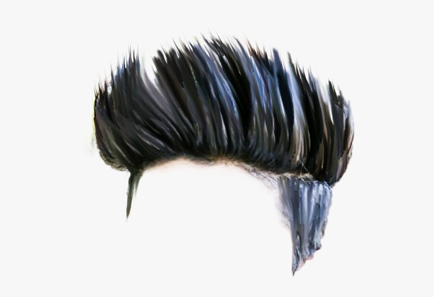 Hair Png Download Hd Quality Latest Cb Hair Png Stock - Insect, Transparent Png