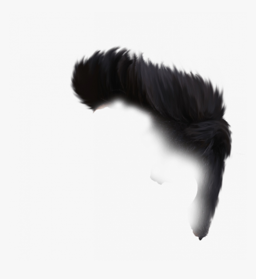 Caterpillar, HD Png Download