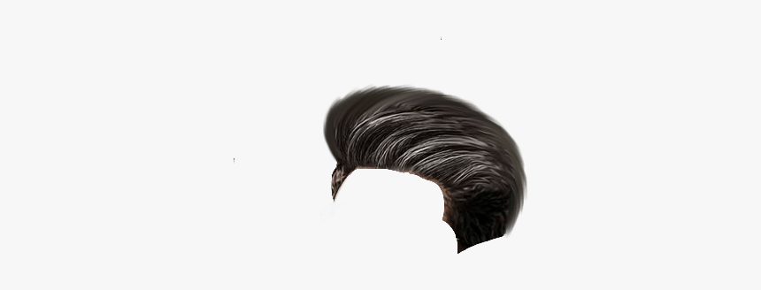 Cb Hair Png - Lace Wig, Transparent Png