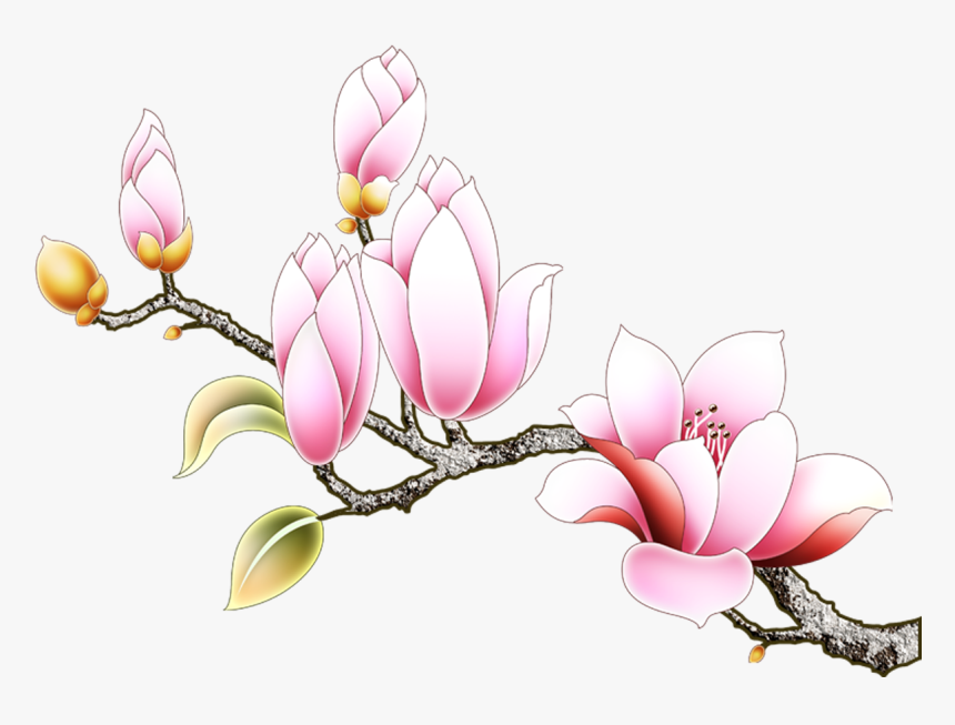 Southern Euclidean Denudata Flowers - Rosa Glauca, HD Png Download