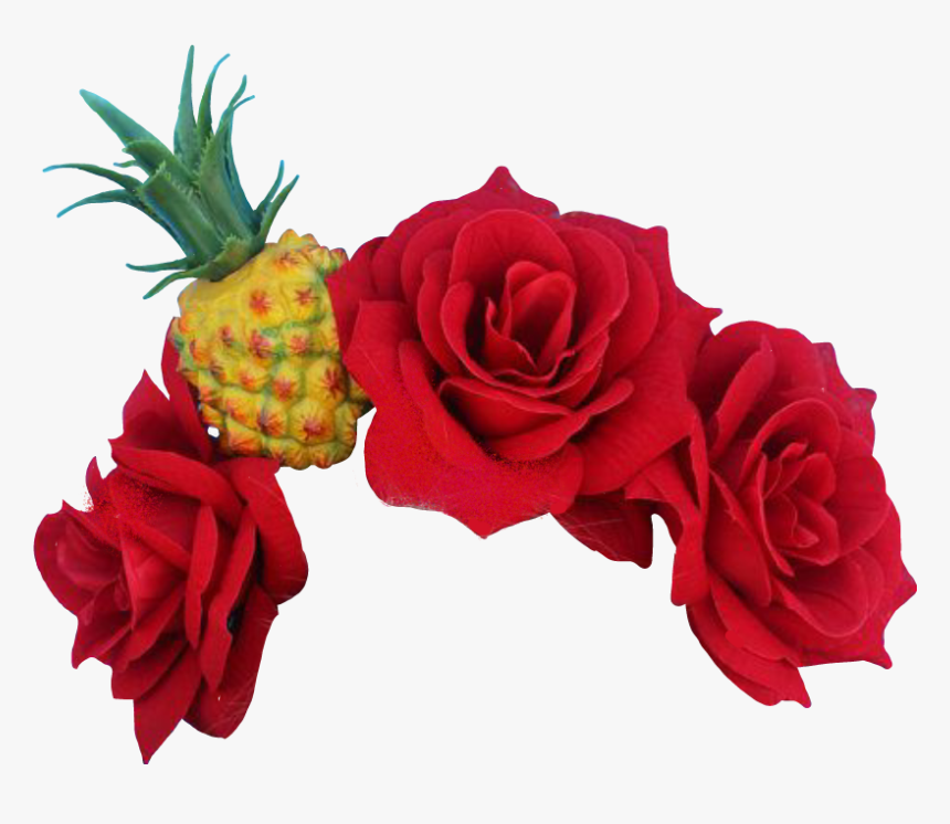 Garden Roses, HD Png Download