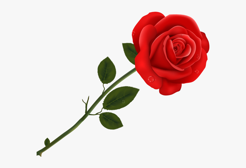 #bloom #frame #flower #border #flowers #white #bouquet - Transparent Red Roses Png, Png Download