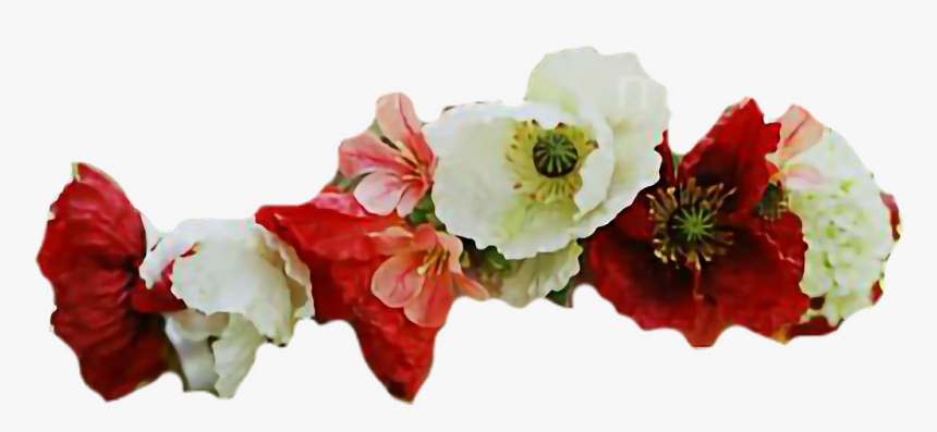 Corn Poppy, HD Png Download