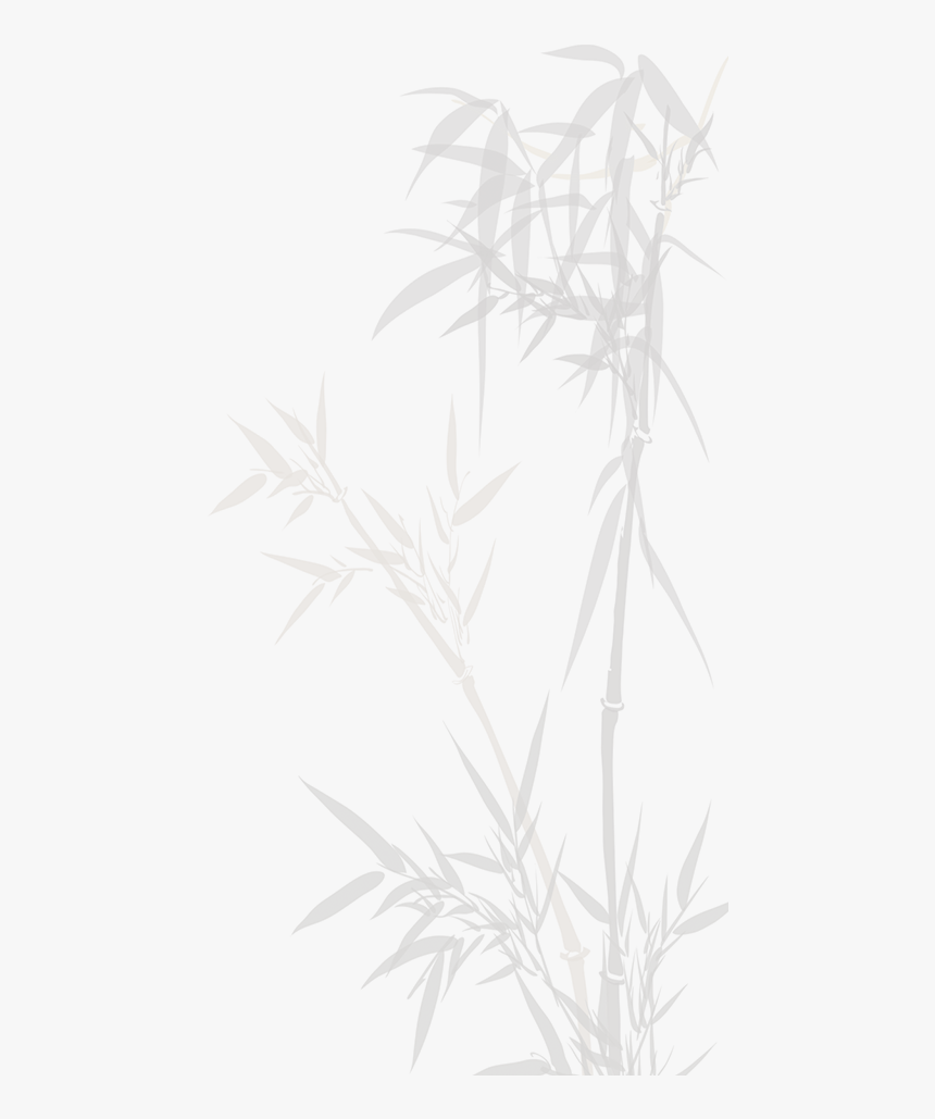 Sketch, HD Png Download