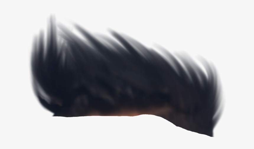 Wig, HD Png Download