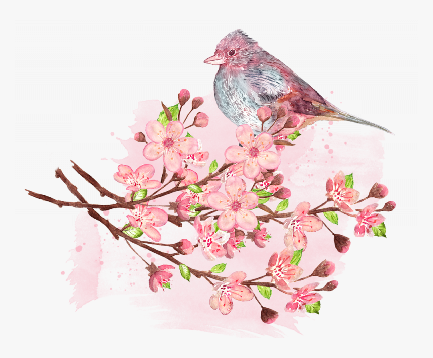 American Rosefinches, HD Png Download