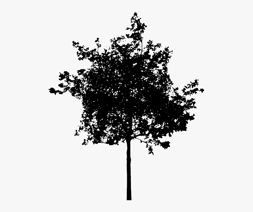 Bush Png Black And White-plus - Small Tree Silhouette Png, Transparent Png